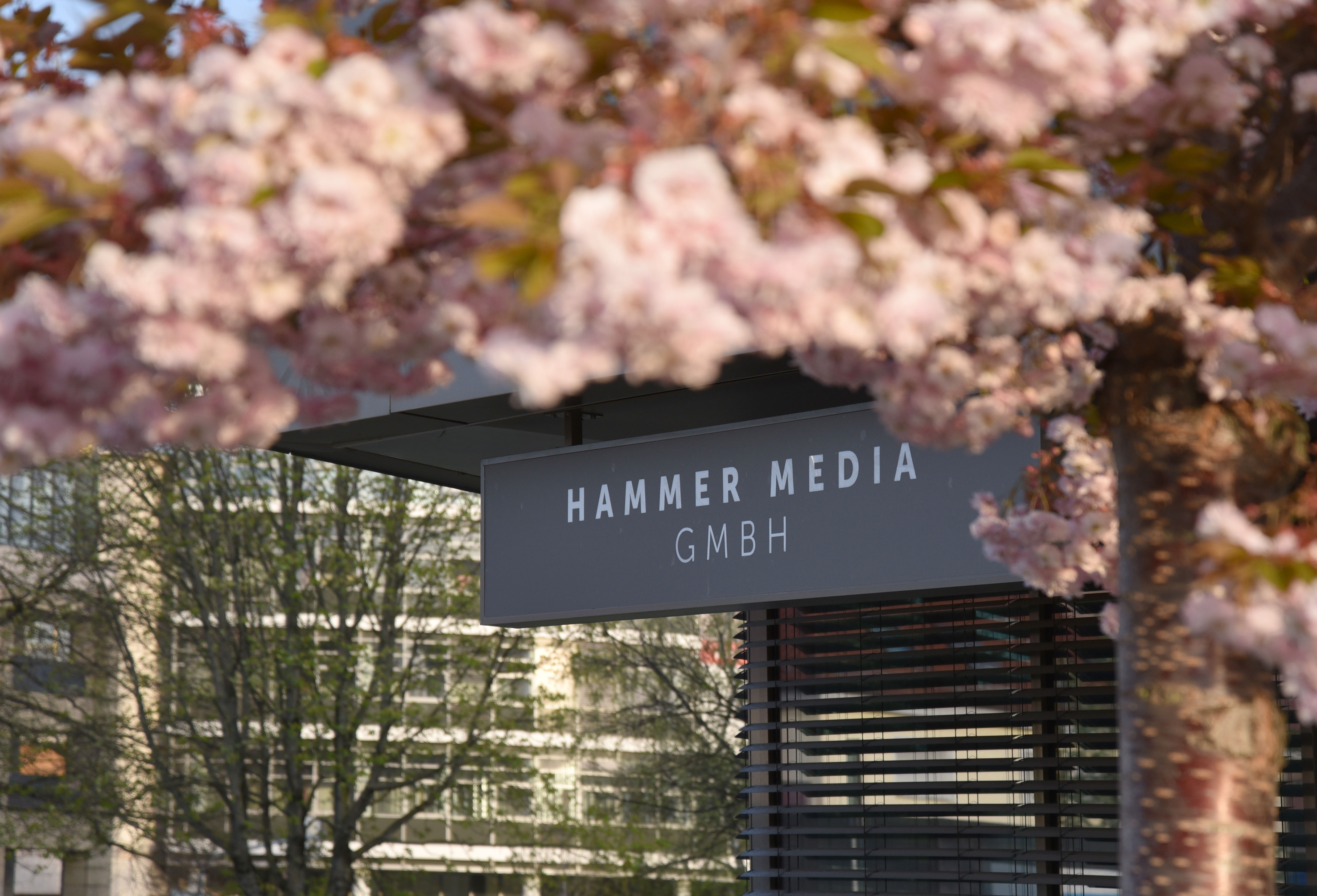 Schild der Hammer Media GmbH mit Blumen im Vordergrund
